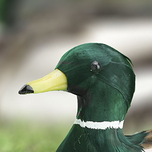 Amazon.com: Factory Direct Craft Standing Feathered Artificial